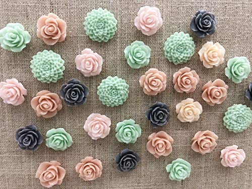 Temoyj 24Pcs Decorative Pushpins,Cork Board Tacks,Bulletin Board Tacks,Thumb Tack Decorative for CorkBoard, Office Organization or Home - Image 3